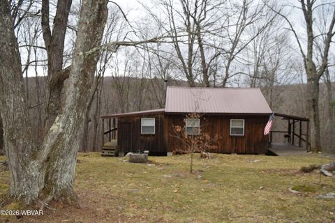 853 BEAR RIDGE ROAD Orviston PA 16864