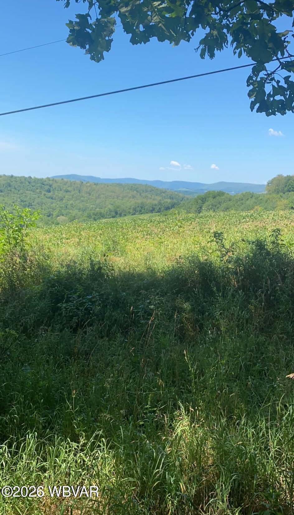 119 chestnut ridge road