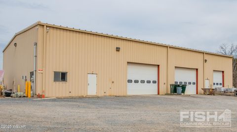 MLS: WB-101201