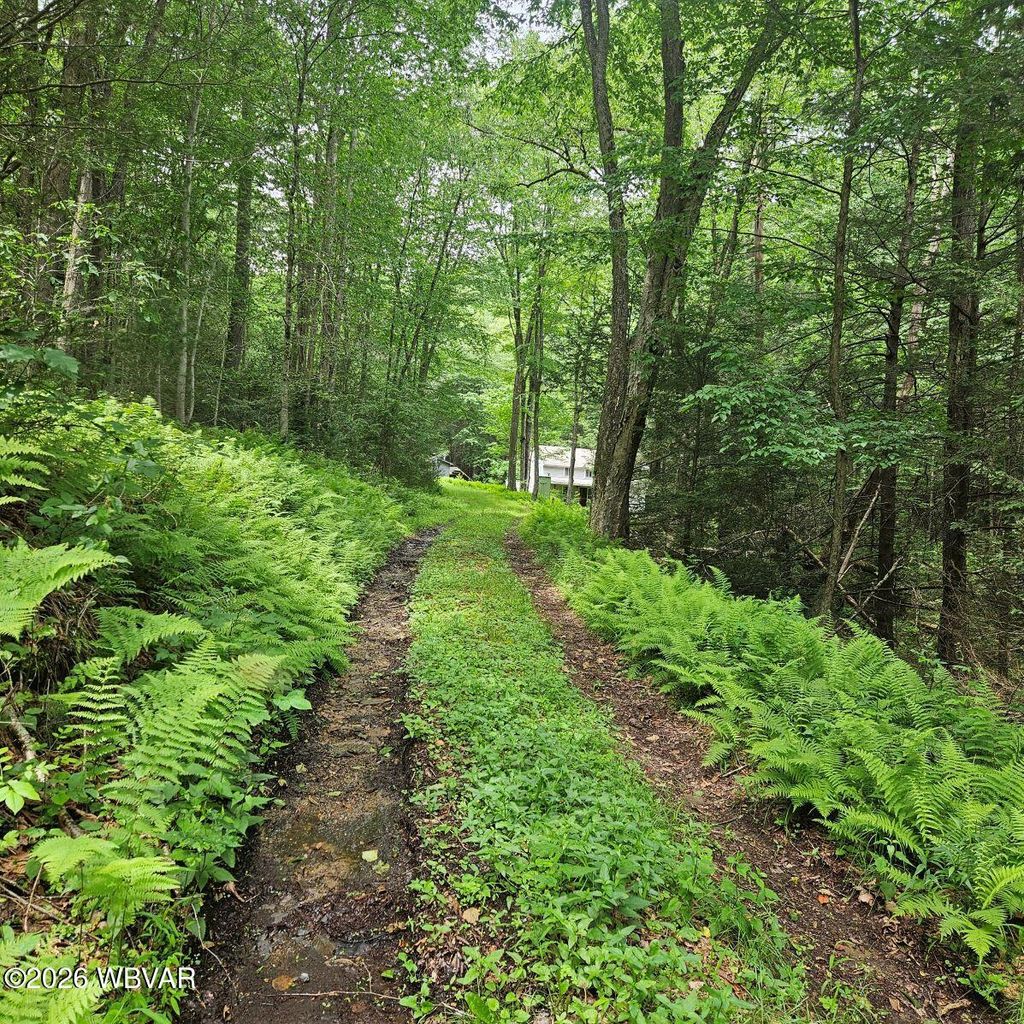Photo of 1992 BEAVER DAM ROAD, Renovo, PA 17764 (MLS # WB-103532)