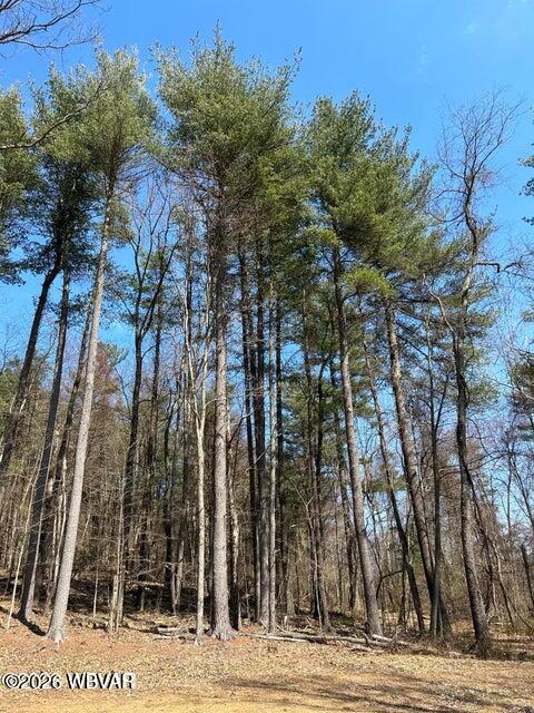 Properties 5 Parcel 112 tallman hollow road