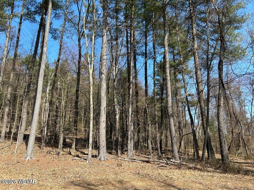 Properties 4 Parcel 112 tallman hollow road