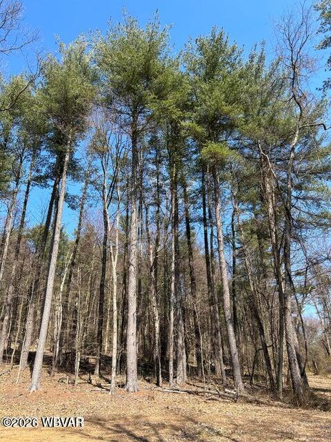 Properties 6 Parcel 112 tallman hollow road