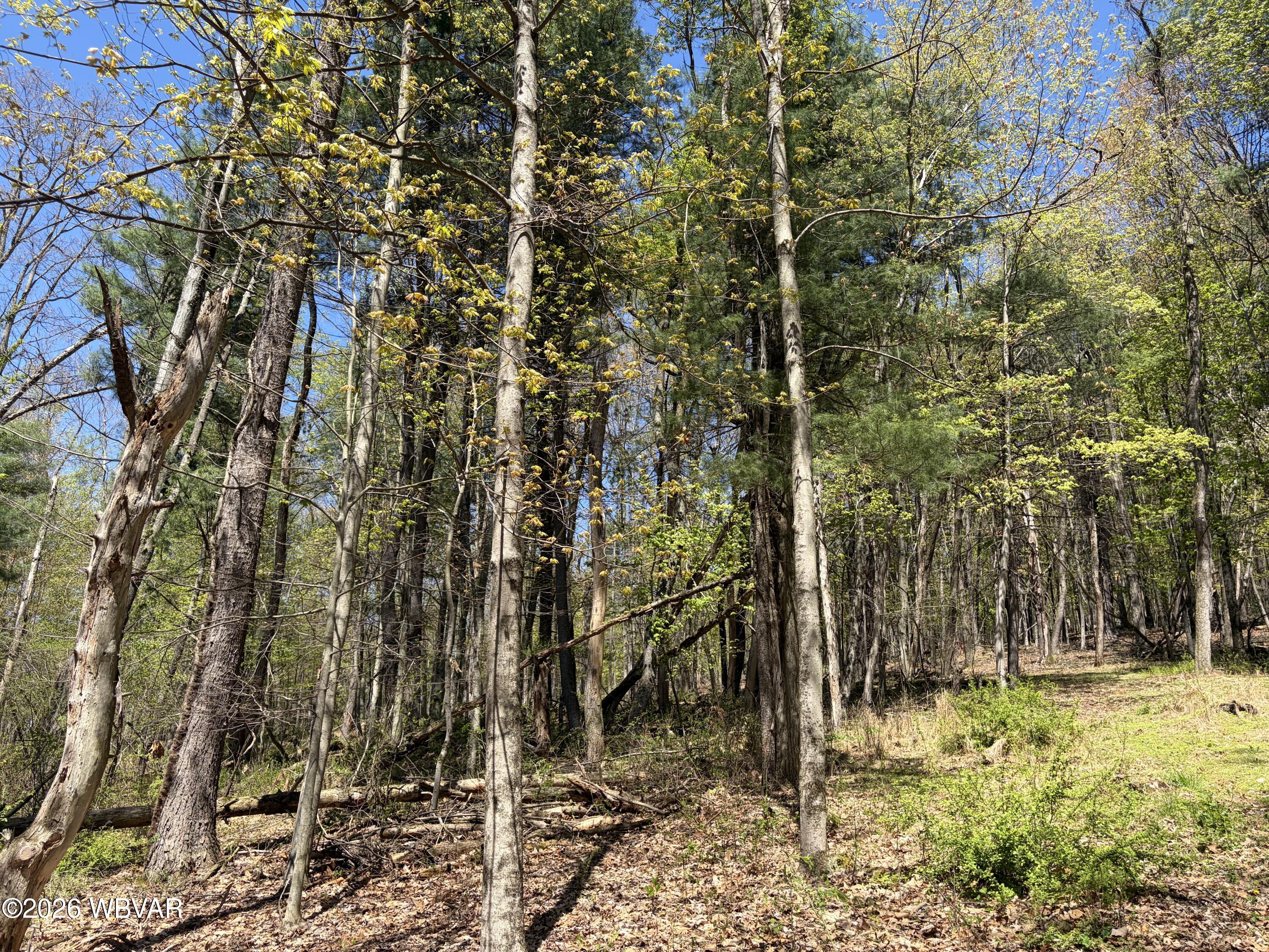 Properties 3 Parcel 112 tallman hollow road