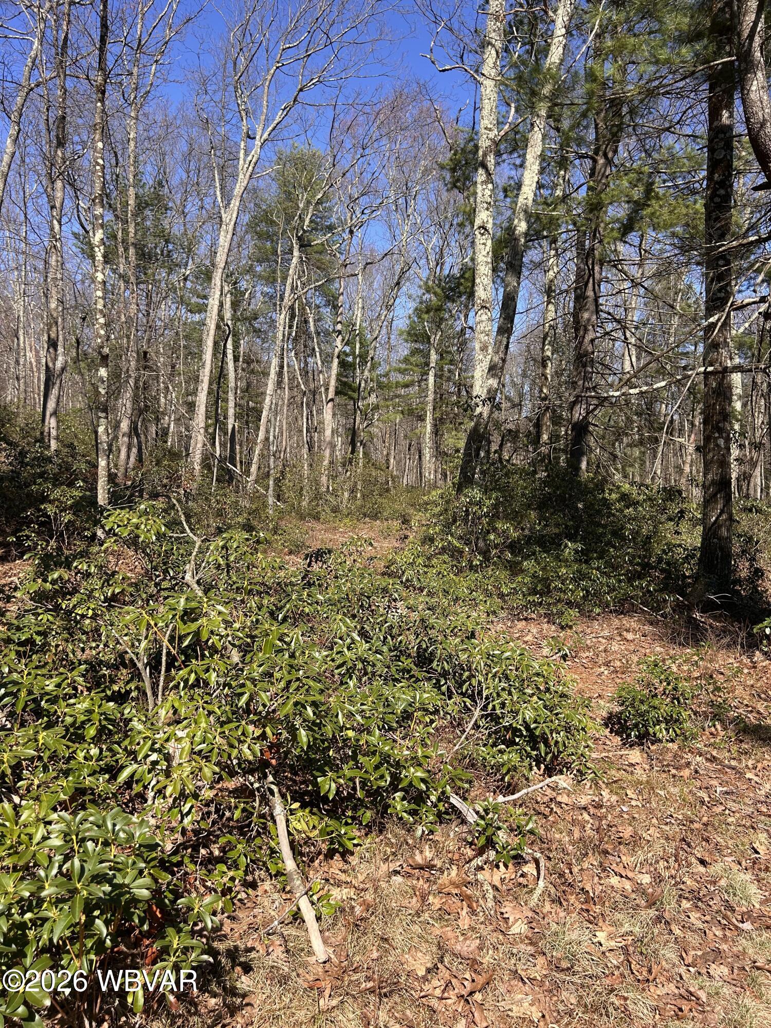 Properties 4 PARCEL 103 STATE ROUTE 239 HIGHWAY