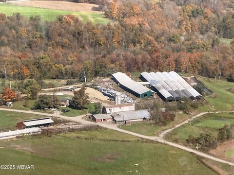 Homes for Sale in Bloomsburg PA 34 392 WOOD ROAD Milan PA 18831