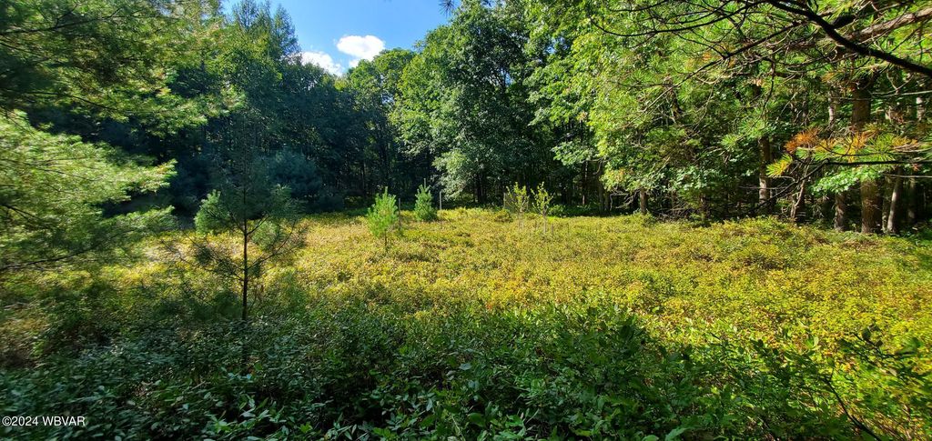 Photo of 163 HICKORY RIDGE ROAD, Mill Hall, PA 17751 (MLS # WB-103422)