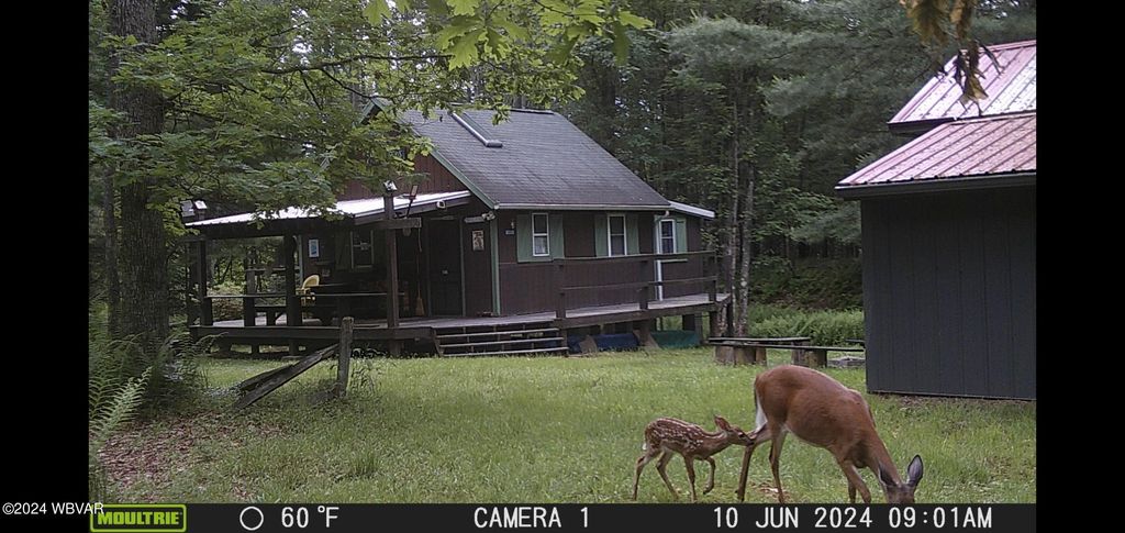 Photo of 163 HICKORY RIDGE ROAD, Mill Hall, PA 17751 (MLS # WB-103422)