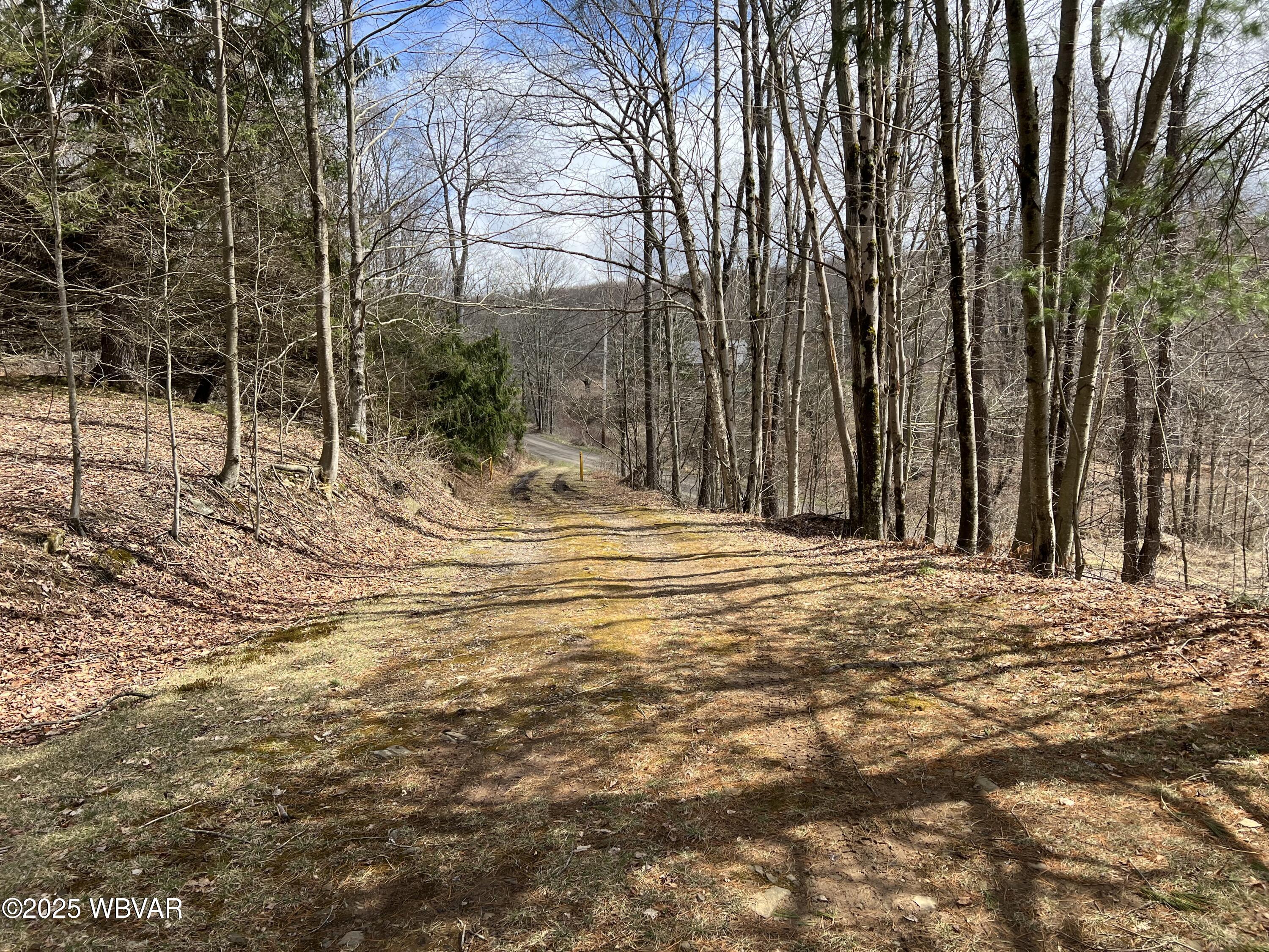 Shunk, Pennsylvania 17768, United States, 3 Bedrooms Bedrooms, ,2 BathroomsBathrooms,Residential,Active,167564