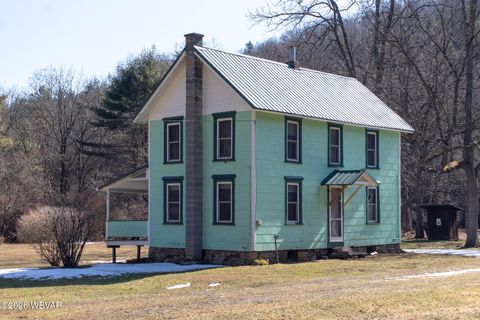 1351 1ST FORK ROAD Jersey Shore PA 17740