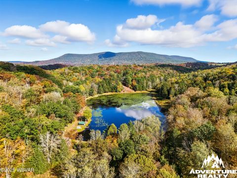 415 OWL HILL ROAD Hughesville PA 17737