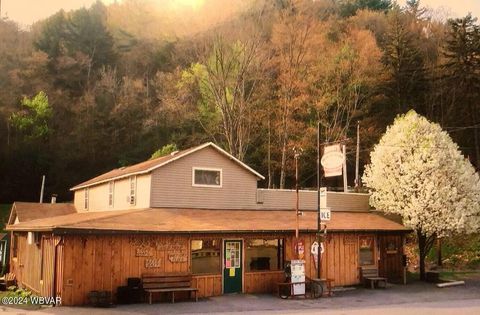 Properties 21 25 MAIN STREET Cross Fork PA 17729