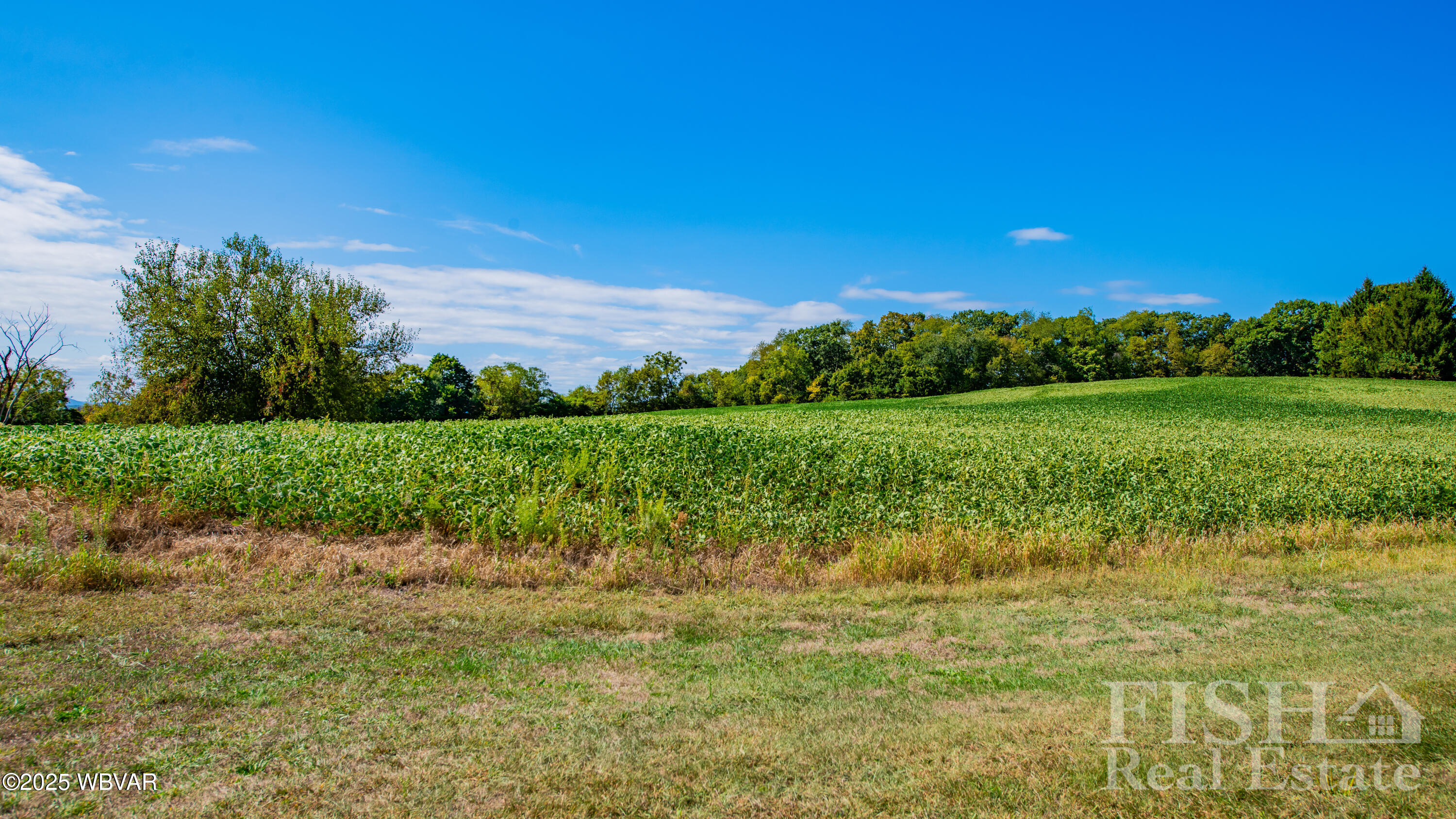 Properties 6 PARCEL102A DACHSUND DRIVE