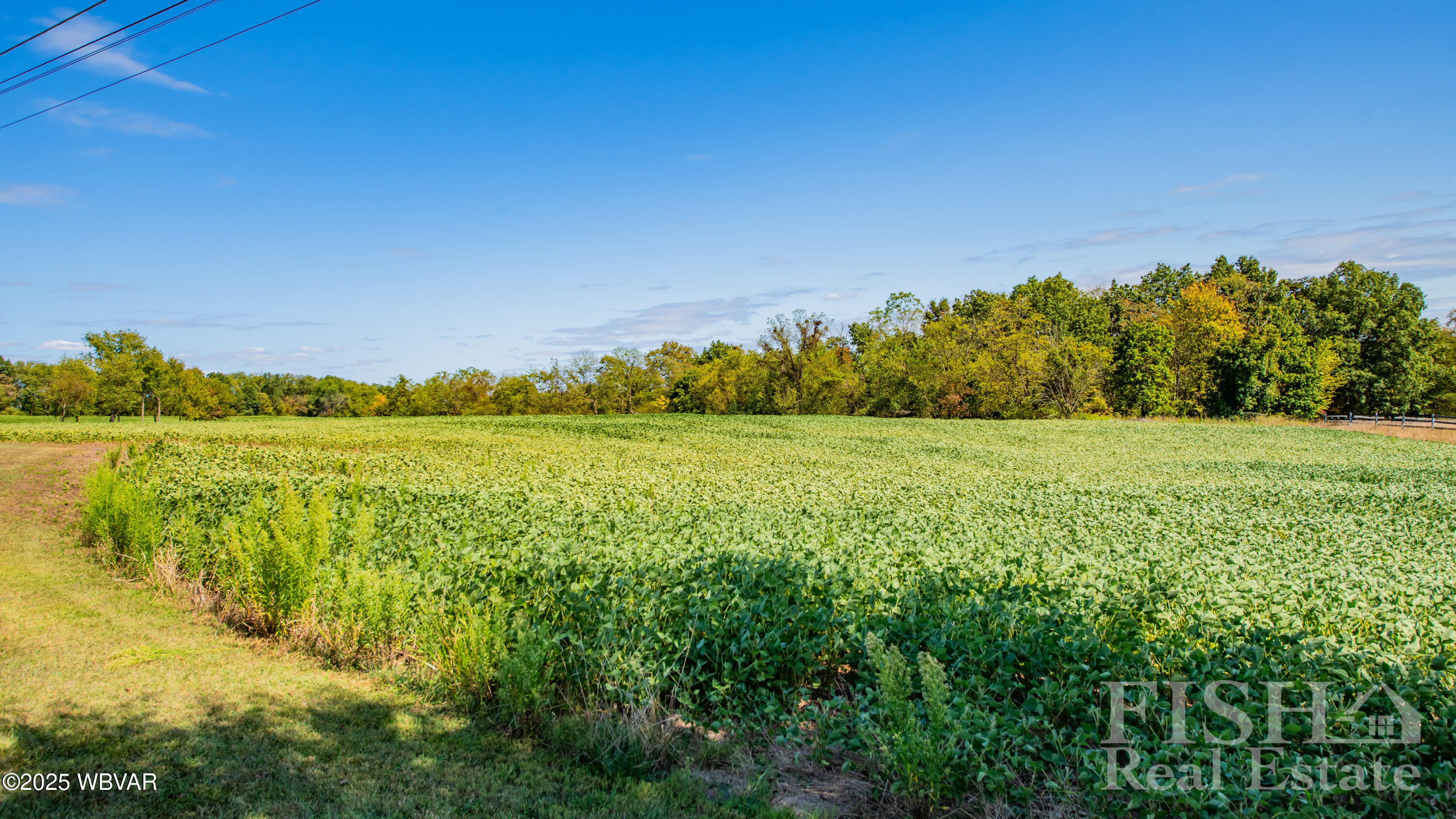 Properties 4 PARCEL102A DACHSUND DRIVE