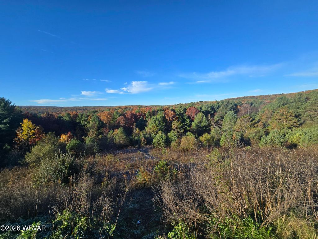 Photo of 4081 SCOOTAC ROAD, Beech Creek, PA 16822 (MLS # WB-103591)