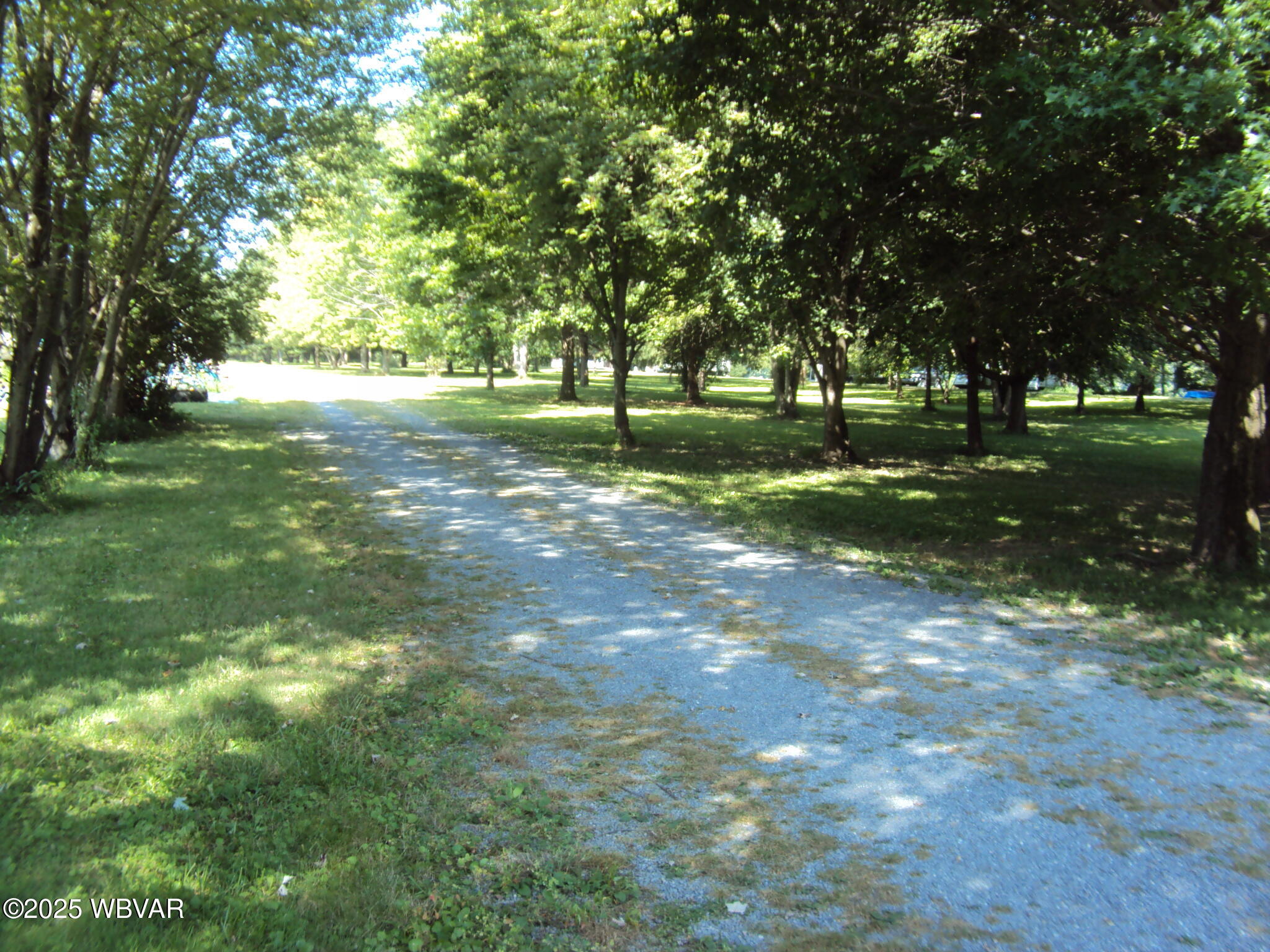 1251 PINE MOUNTAIN ROAD