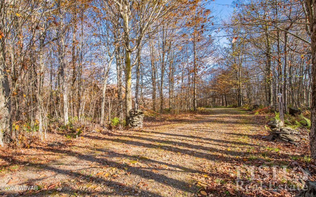 Photo of 115 GLORY RIDGE ROAD, Shunk, PA 17768 (MLS # WB-102718)