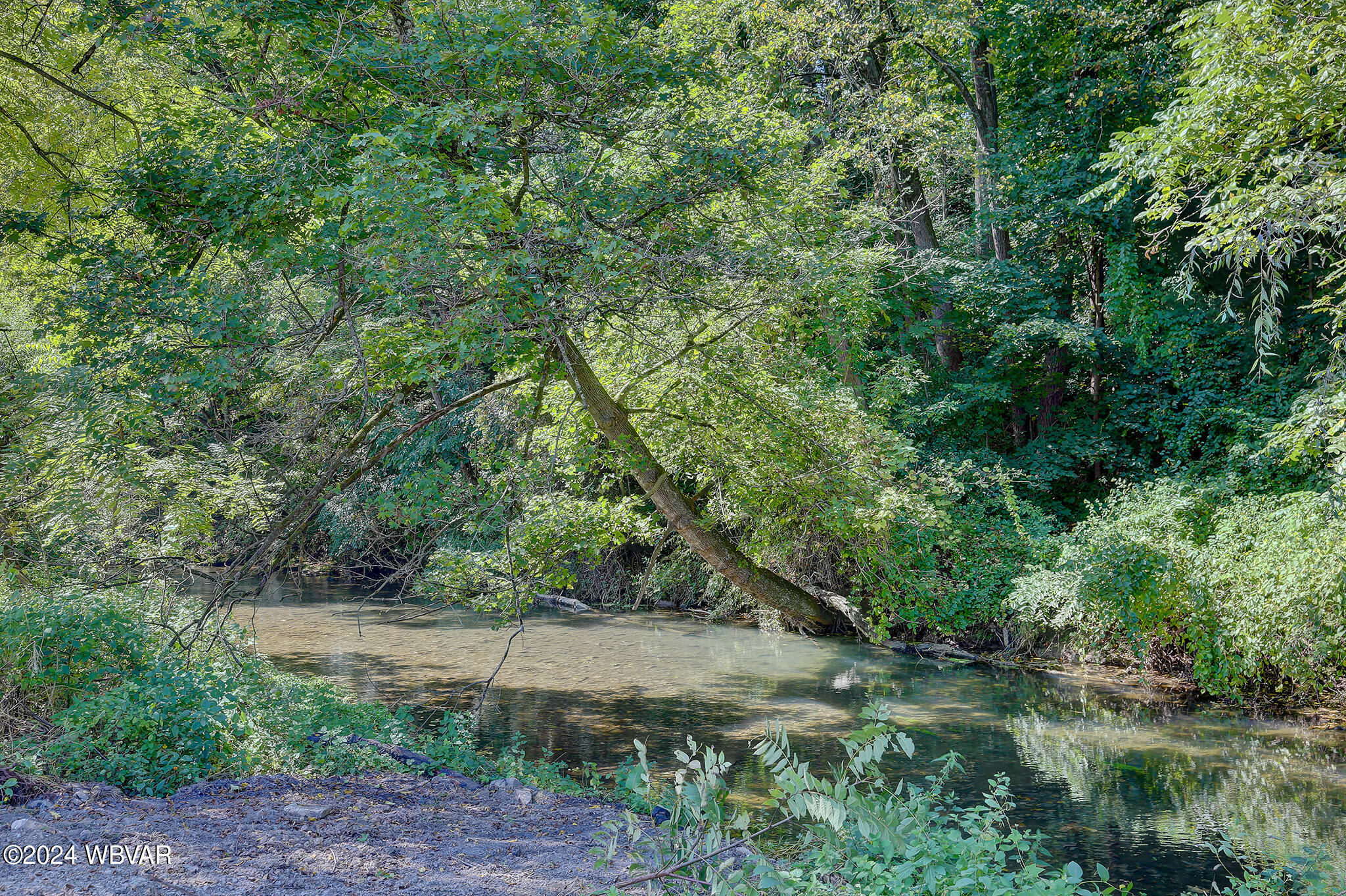 Mill Hall, Pennsylvania 17751, United States, 3 Bedrooms Bedrooms, ,2 BathroomsBathrooms,Residential,Active,42365