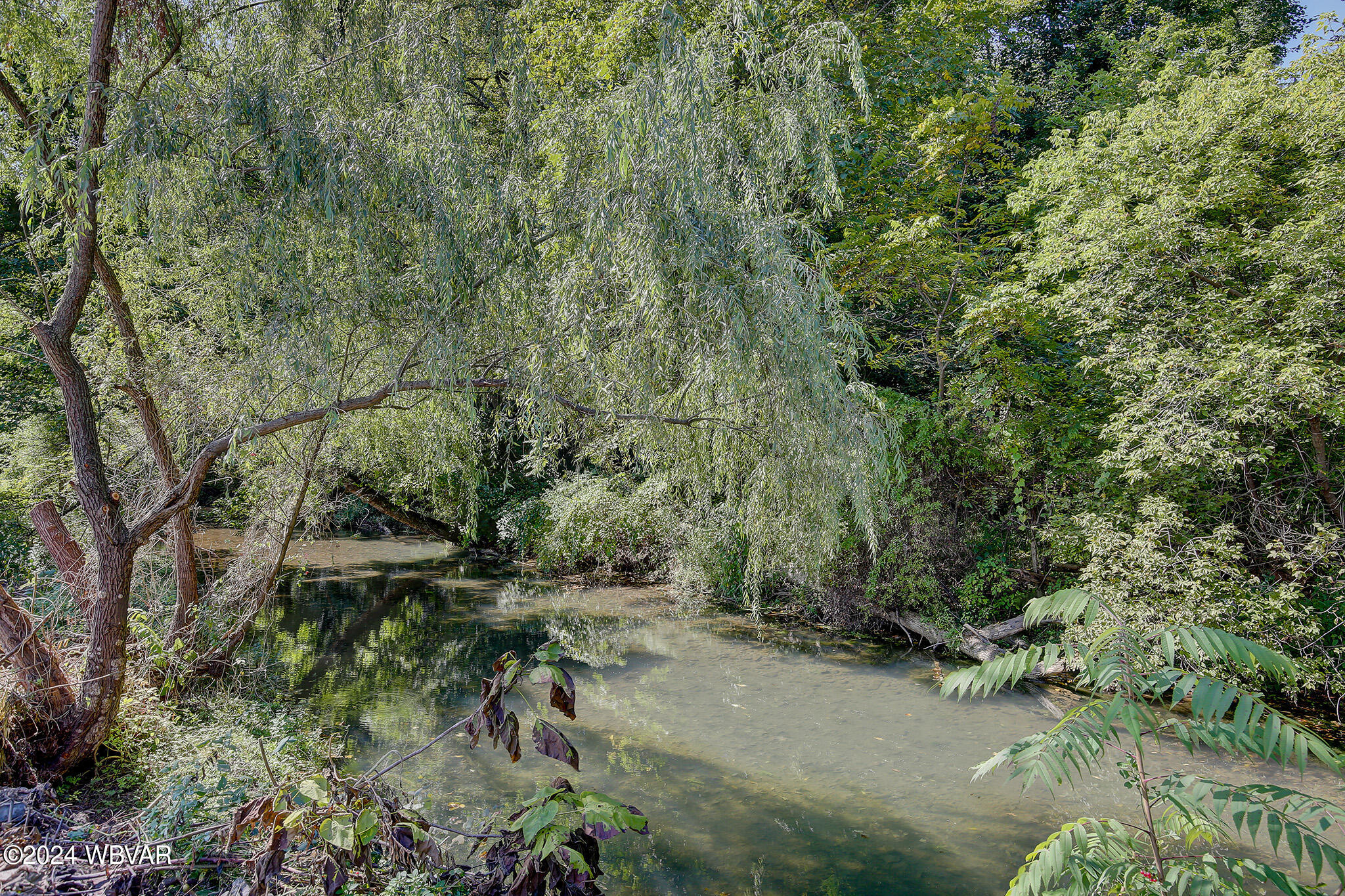 Mill Hall, Pennsylvania 17751, United States, 3 Bedrooms Bedrooms, ,2 BathroomsBathrooms,Residential,Active,42365