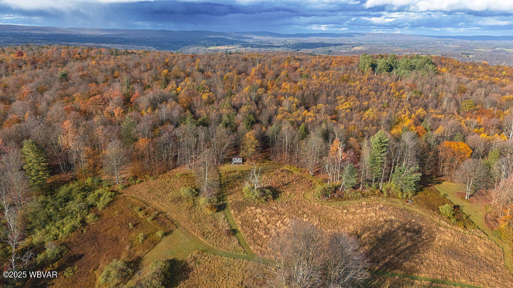 Properties 5 1382 BEAR MOUNTAIN ROAD