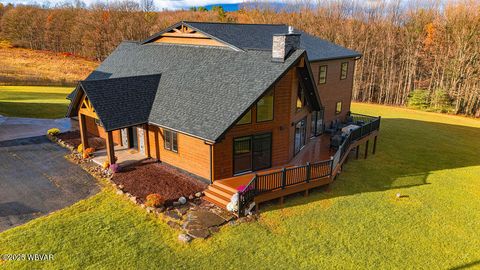 Properties 46 1382 BEAR MOUNTAIN ROAD Forksville PA 18616