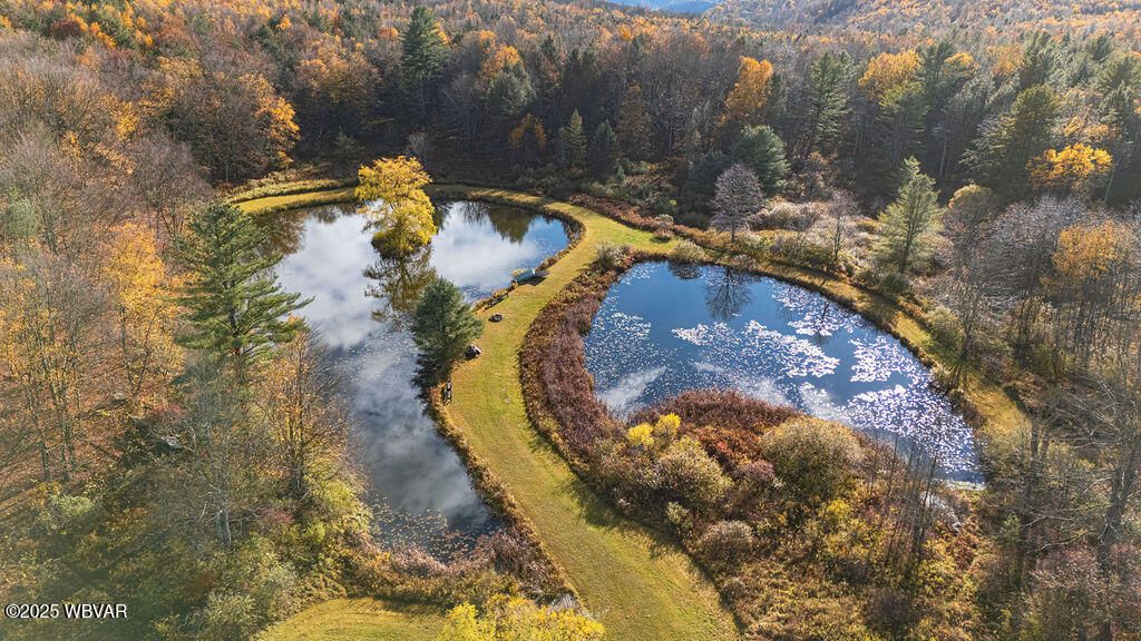 Photo of 1382 BEAR MOUNTAIN ROAD, Forksville, PA 18616 (MLS # WB-102724)