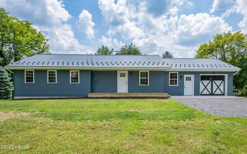 MLS: WB-101362