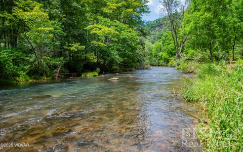 Properties 45 PARCEL 113 ROUTE 44 HIGHWAY Jersey Shore PA 17740