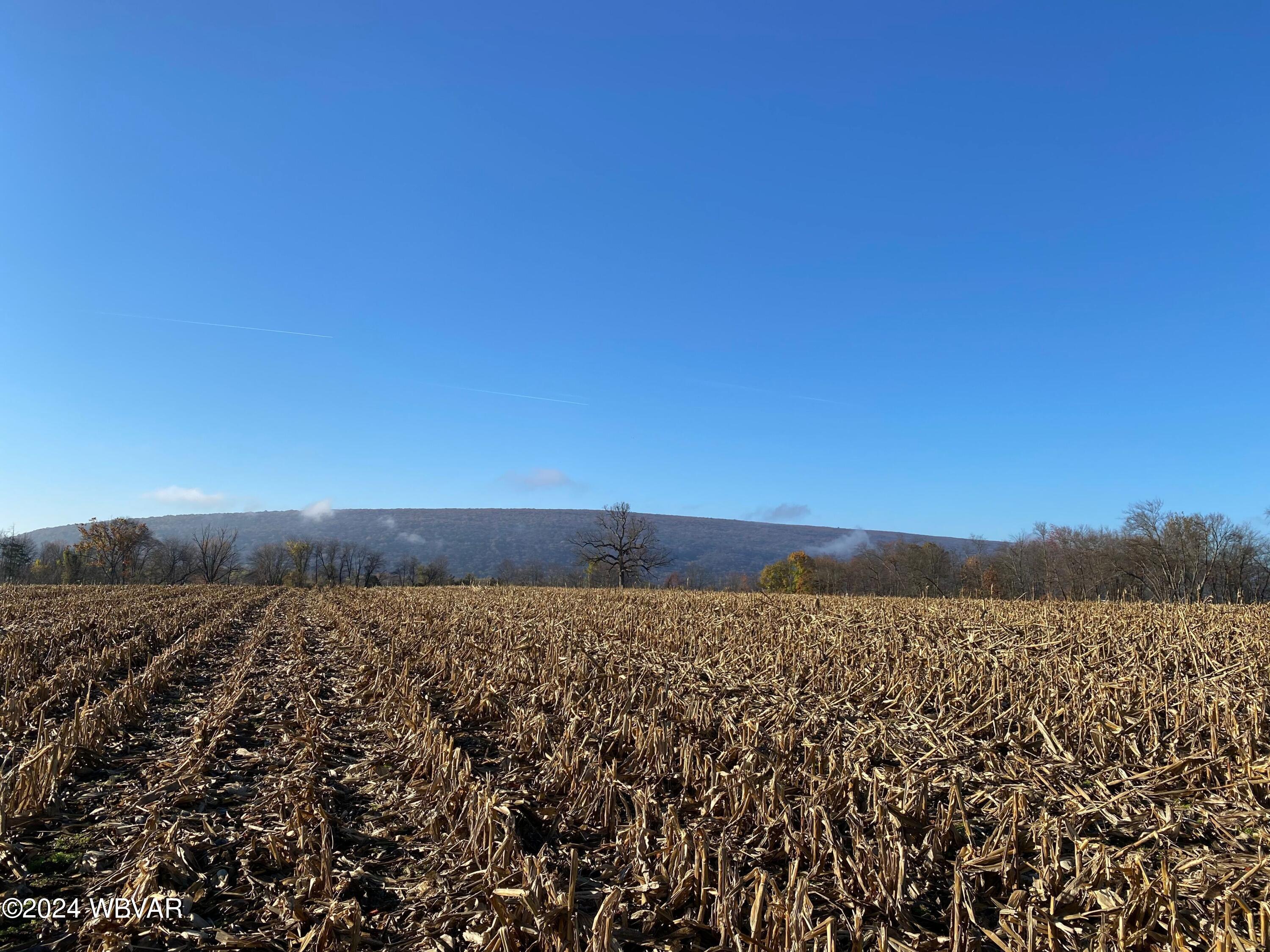 Pennsdale, Pennsylvania 17756, United States, ,Land,Active,61588