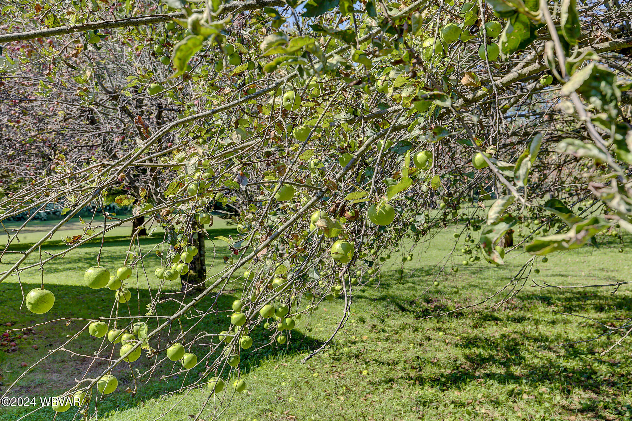 Renovo, Pennsylvania 17764, United States, 3 Bedrooms Bedrooms, ,2 BathroomsBathrooms,Residential,Contingent,44563