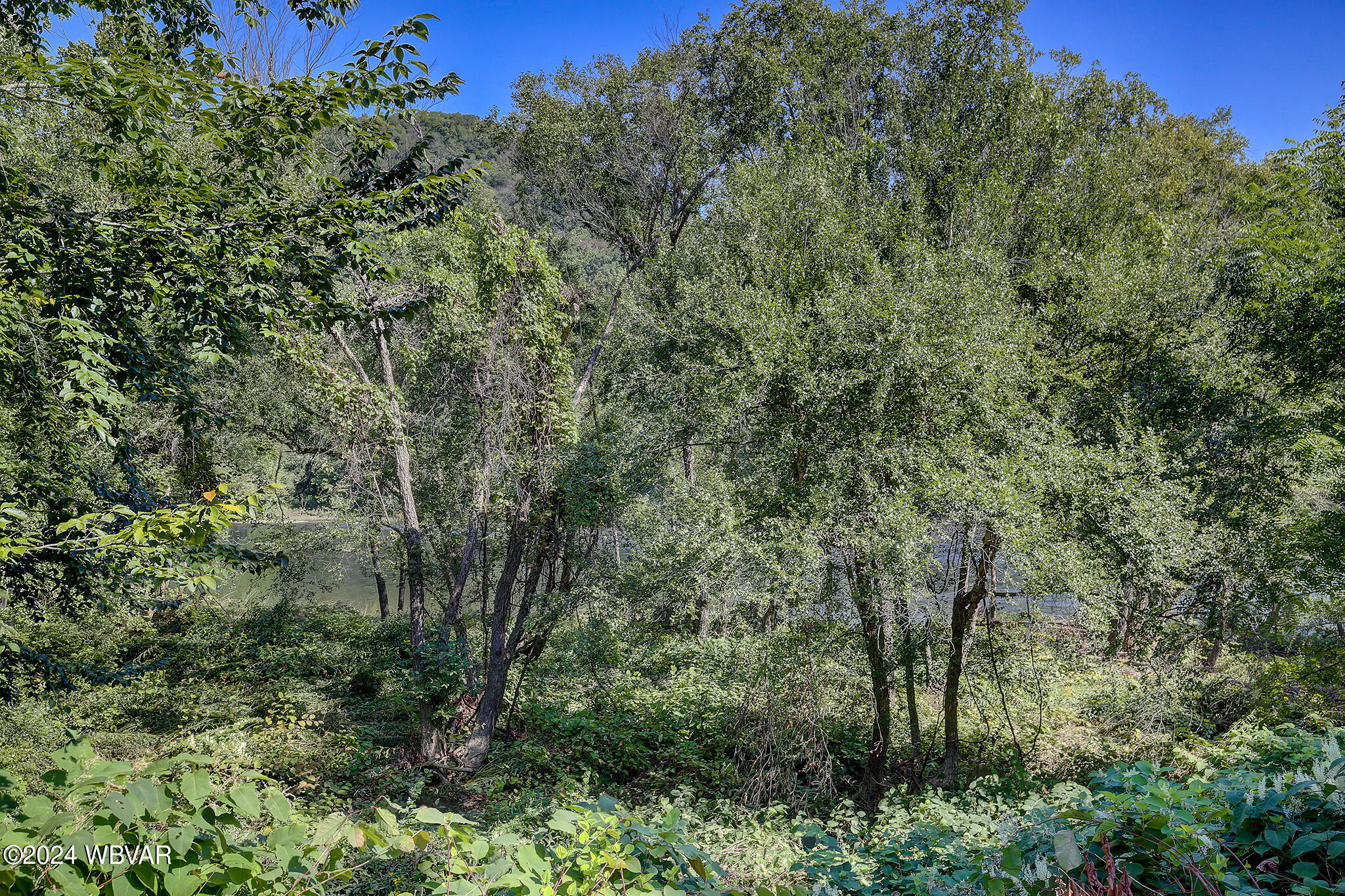 Renovo, Pennsylvania 17764, United States, 3 Bedrooms Bedrooms, ,2 BathroomsBathrooms,Residential,Contingent,44563