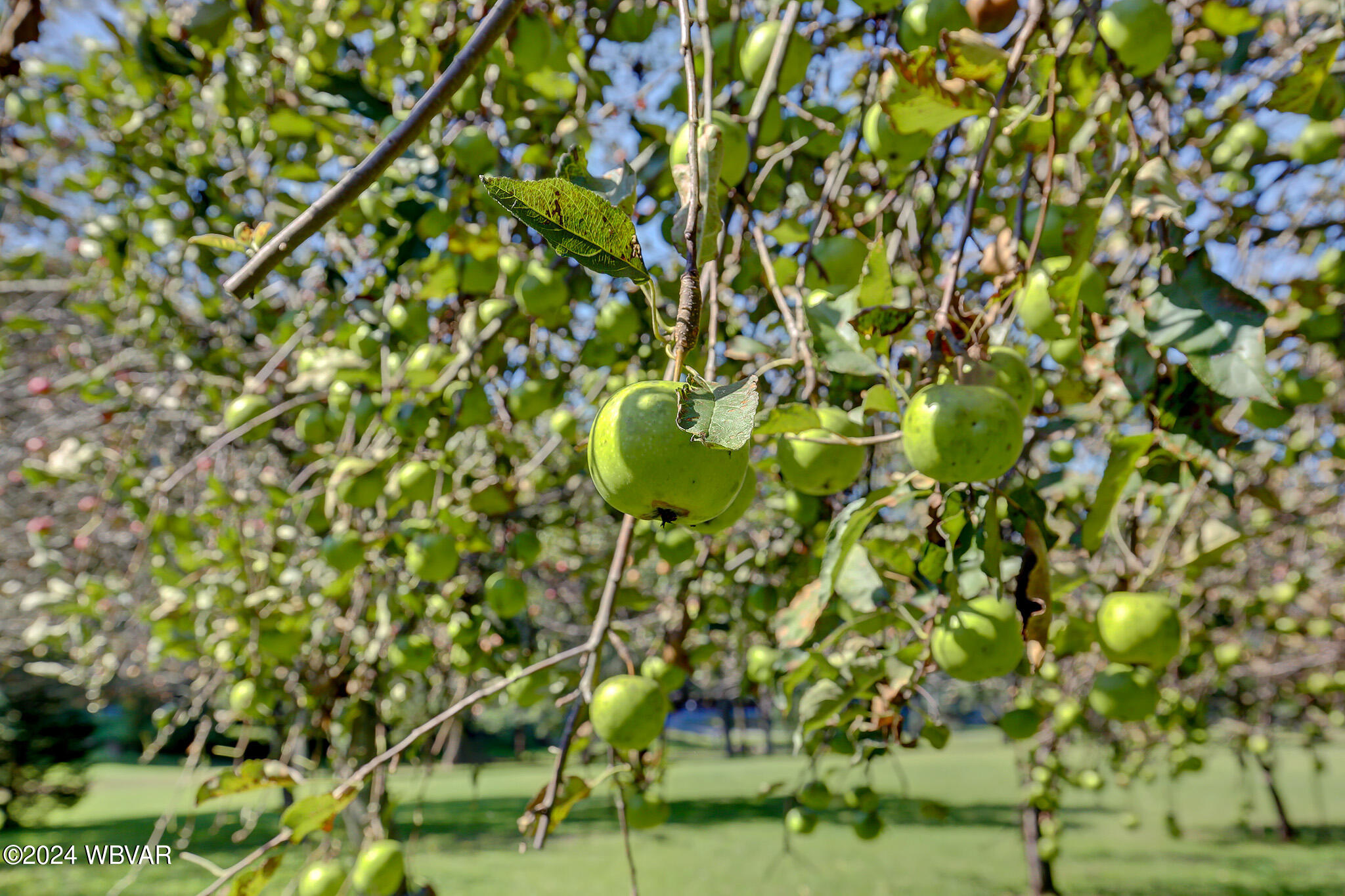 Renovo, Pennsylvania 17764, United States, 3 Bedrooms Bedrooms, ,2 BathroomsBathrooms,Residential,Contingent,44563
