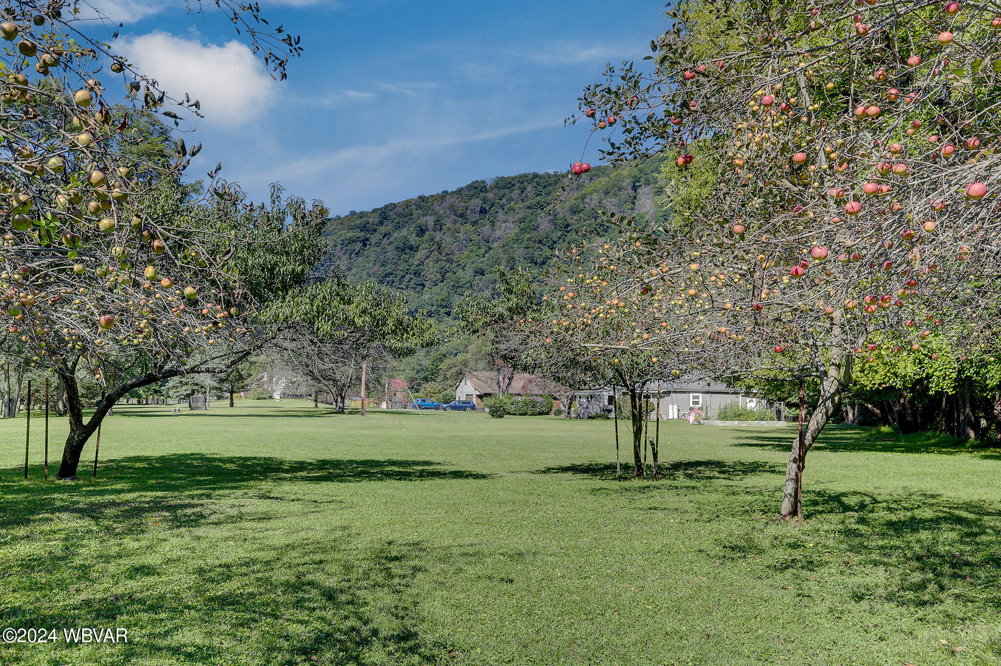 Renovo, Pennsylvania 17764, United States, 3 Bedrooms Bedrooms, ,2 BathroomsBathrooms,Residential,Contingent,44563