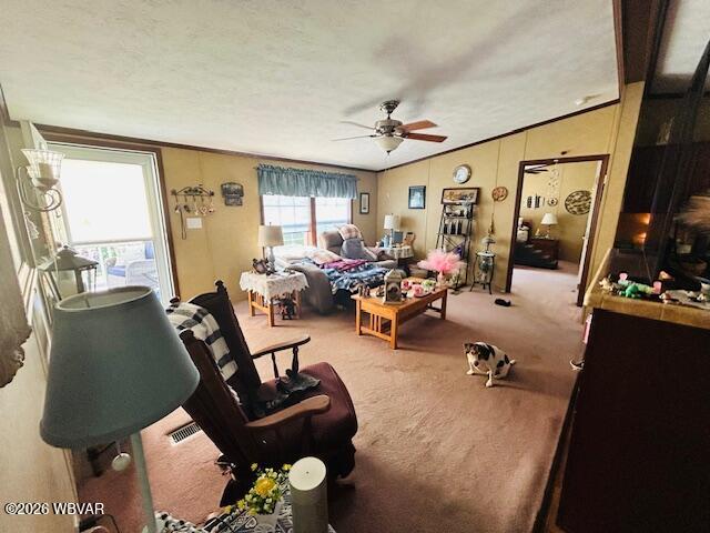 133 sanctuary boulevard