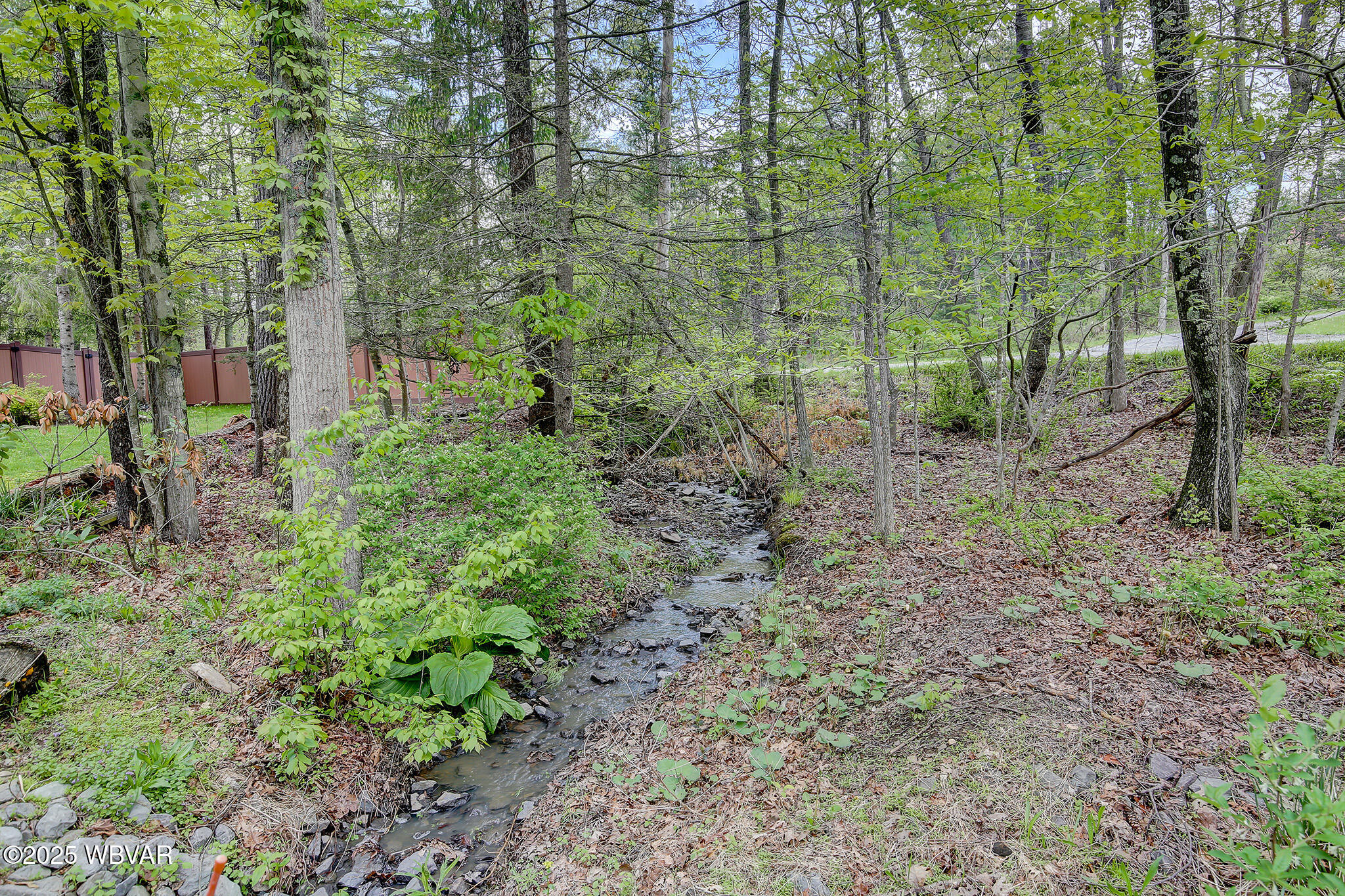 Williamsport, Pennsylvania 17701, United States, 3 Bedrooms Bedrooms, ,3 BathroomsBathrooms,Residential,Active,127441