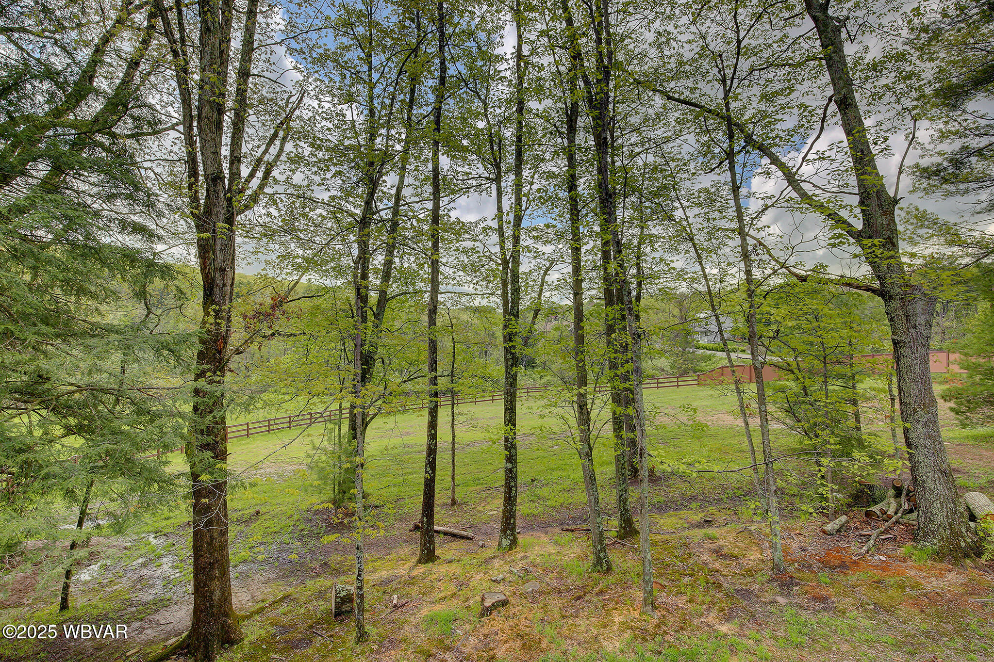 Williamsport, Pennsylvania 17701, United States, 3 Bedrooms Bedrooms, ,3 BathroomsBathrooms,Residential,Active,127441