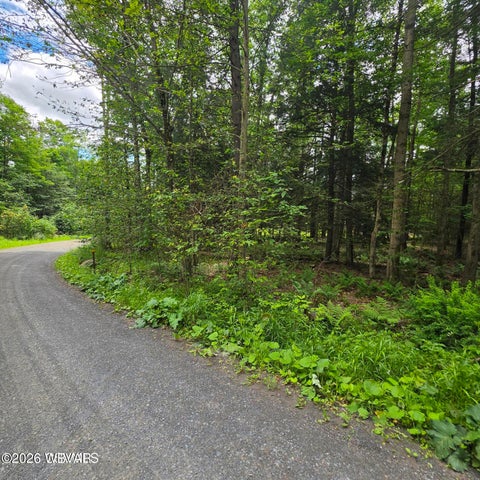 Photo for PARCEL 080 WOODED LANE