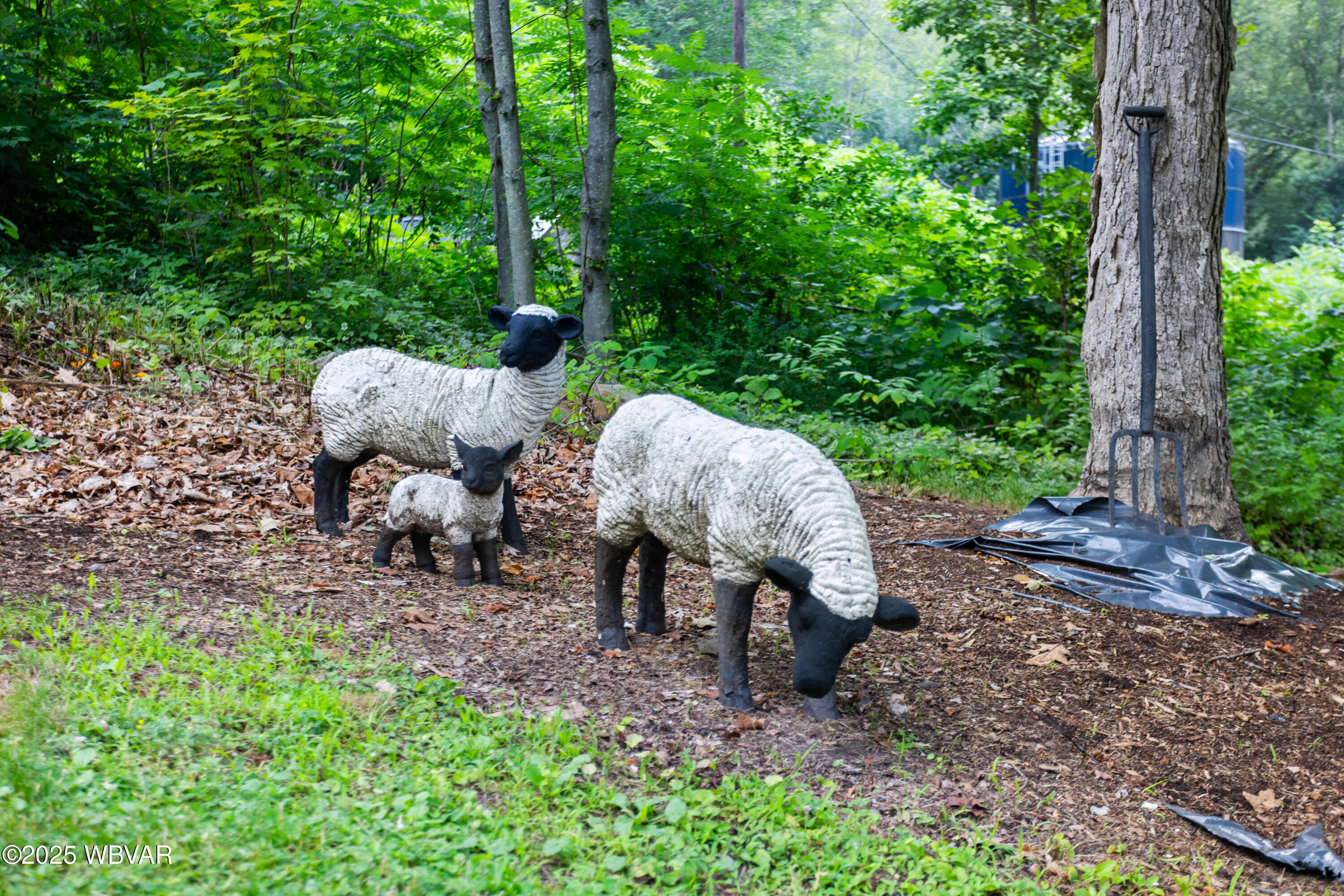 Roaring Branch, Pennsylvania 17765, United States, 2 Bedrooms Bedrooms, ,1 BathroomBathrooms,Residential,Active,197451