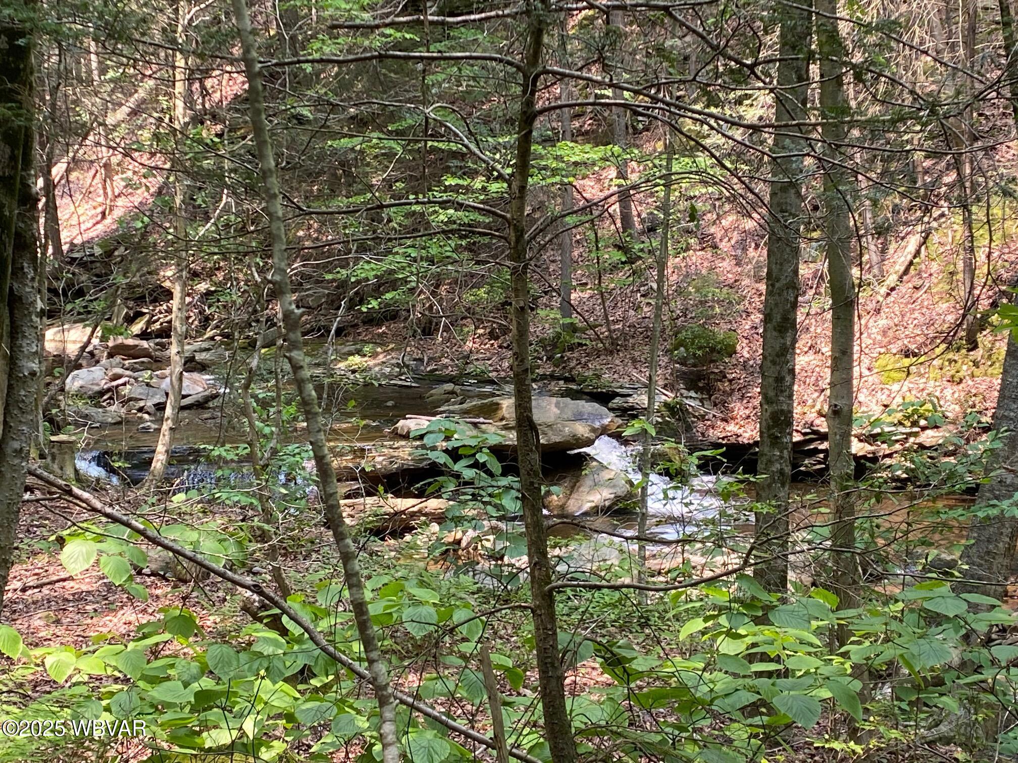 Roaring Branch, Pennsylvania 17765, United States, 2 Bedrooms Bedrooms, ,1 BathroomBathrooms,Residential,Active,197451