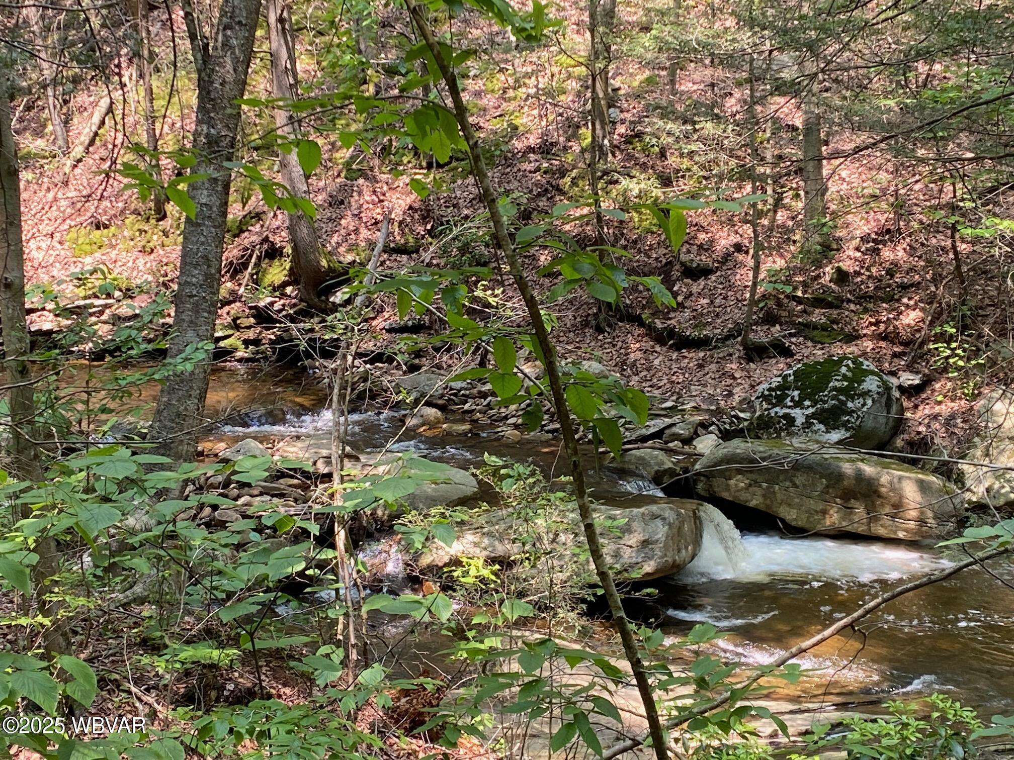 Roaring Branch, Pennsylvania 17765, United States, 2 Bedrooms Bedrooms, ,1 BathroomBathrooms,Residential,Active,197451