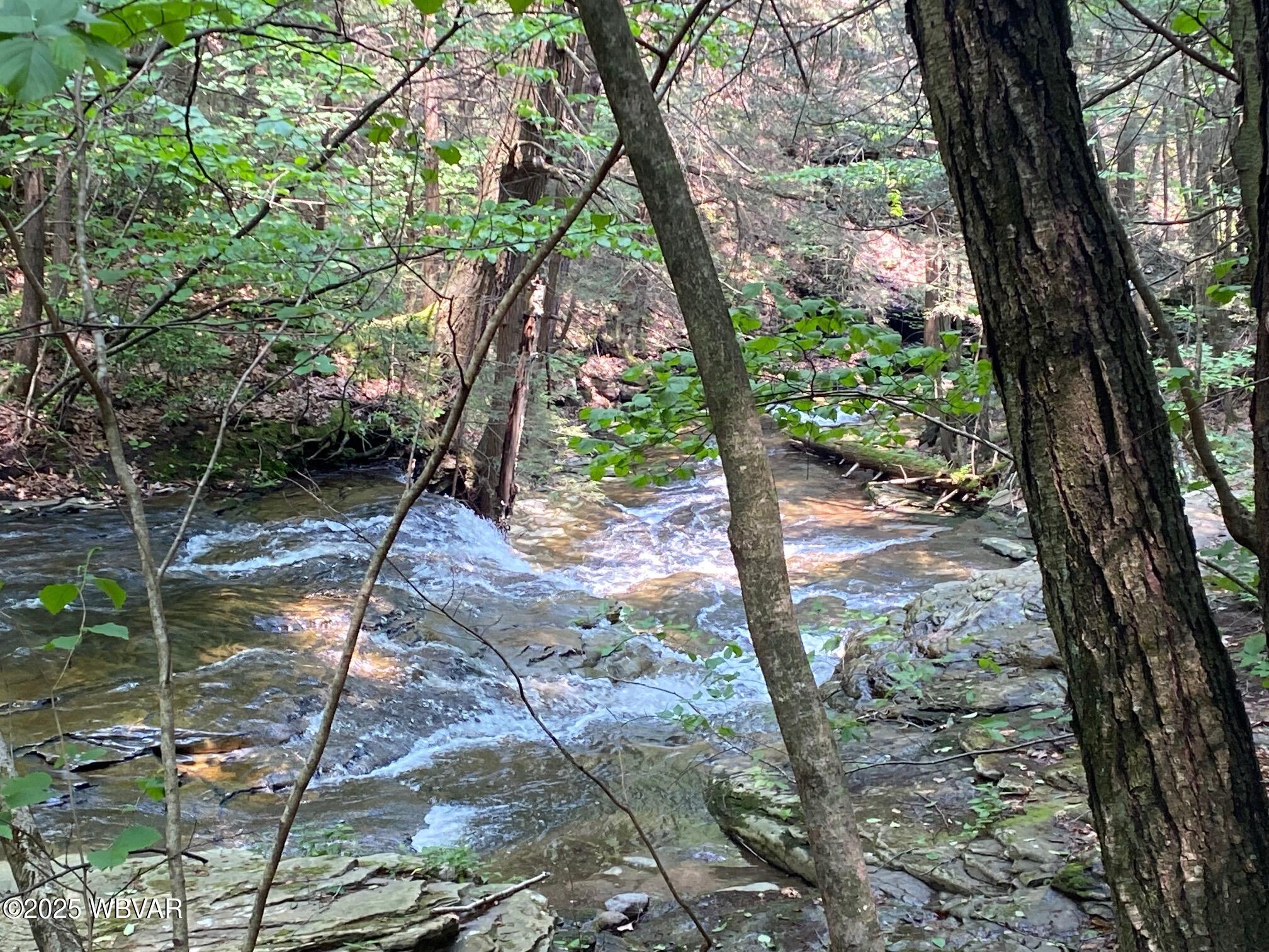 Roaring Branch, Pennsylvania 17765, United States, 2 Bedrooms Bedrooms, ,1 BathroomBathrooms,Residential,Active,197451