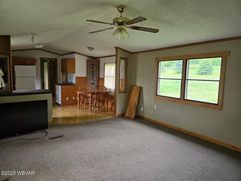 315 W Brown Street, Castanea, PA 17726 - MLS#: WB-101581