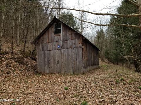 Lick ROAD, Forksville, PA 18616 - #: WB-98489