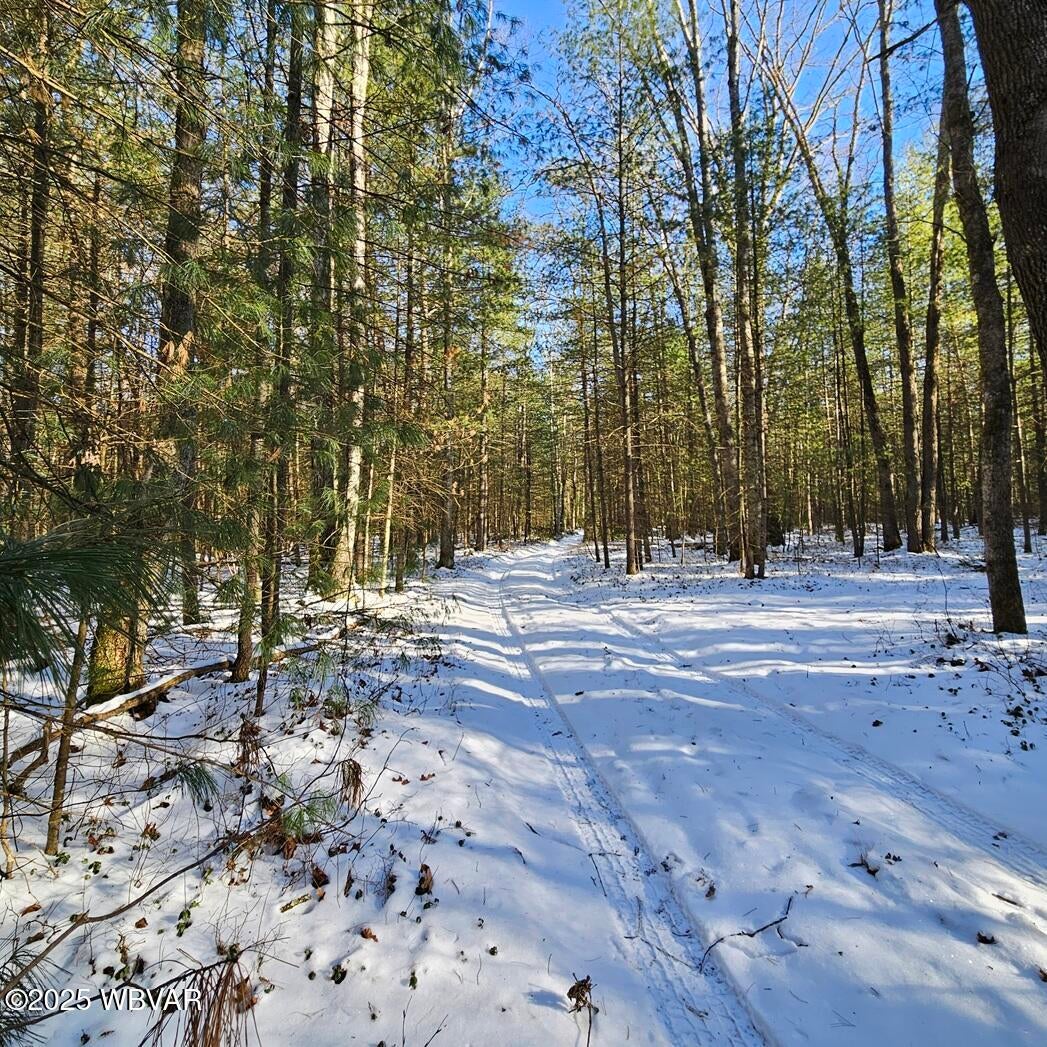 152 Raccoon Lane, North Bend, PA 17760 | MLS WB-100681 | Listing ...