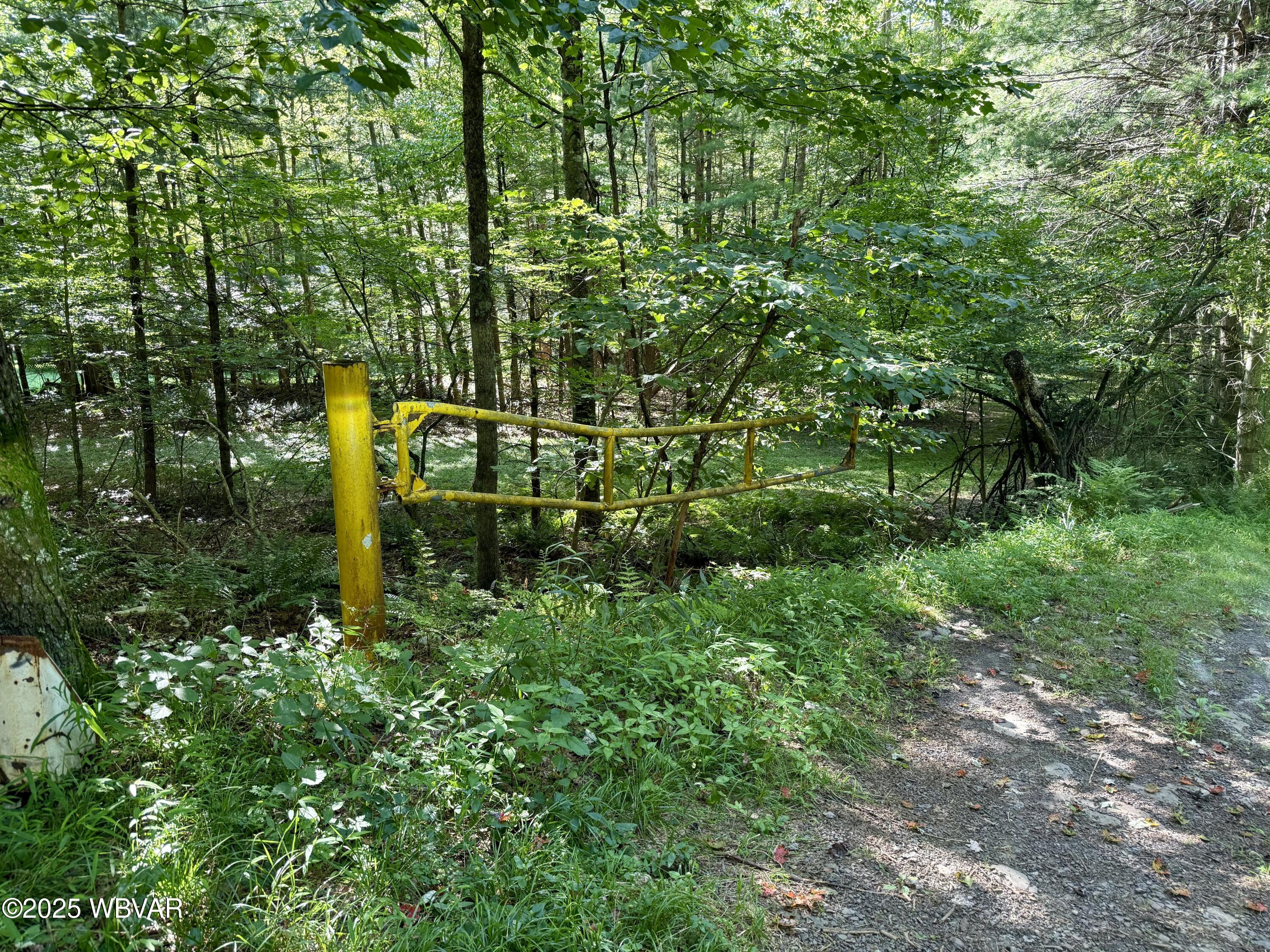 Forksville, Pennsylvania 18616, United States, 3 Bedrooms Bedrooms, ,1 BathroomBathrooms,Residential,Pending,182777