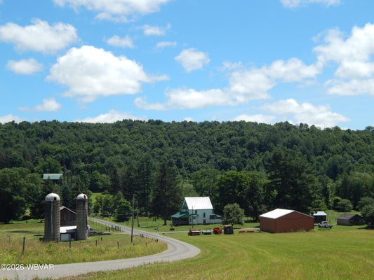 582 MILLS HILL RD # PARCEL, WELLSBORO, PA 16901 - Image b5e0b09c079fe1b62362df8cb9ae38aa/200593946