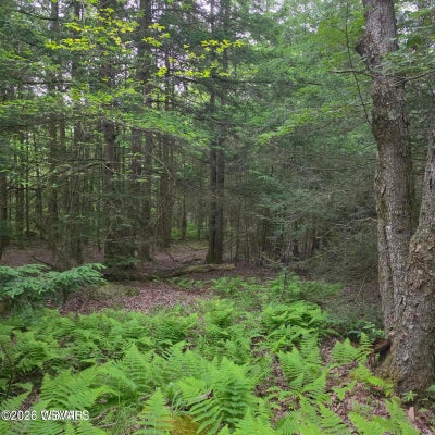 42 LARK RD, DUSHORE, PA 18614 - Image be08233d5e09f2efcae2b63e493f73e5/2354779596
