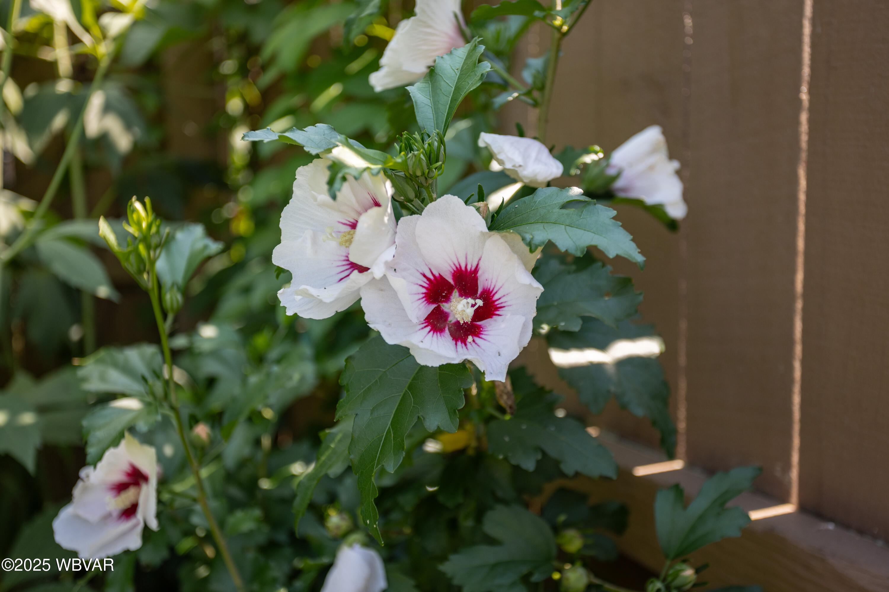 S. Williamsport, Pennsylvania 17702, United States, 2 Bedrooms Bedrooms, ,1 BathroomBathrooms,Residential,Contingent,186176