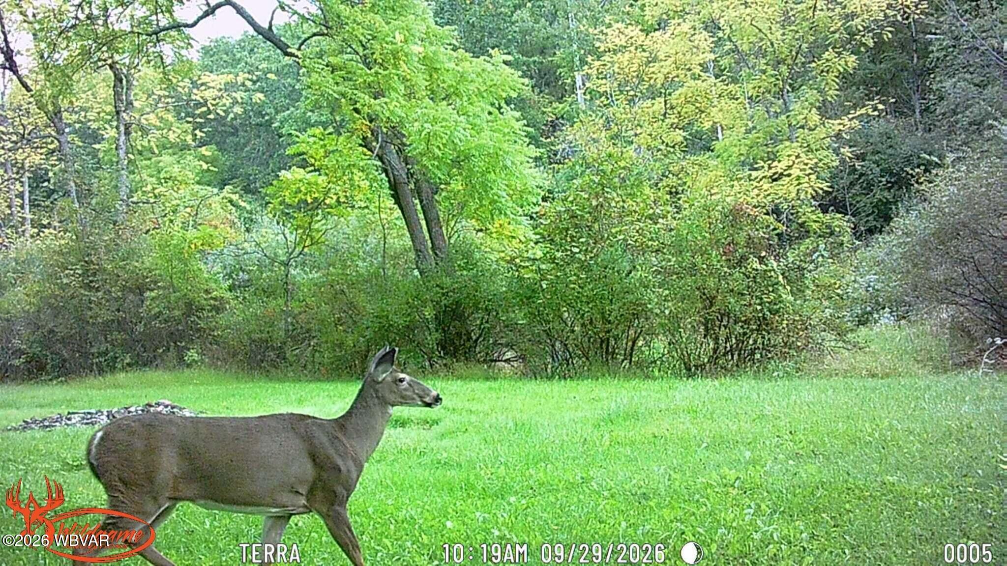992 ramsey hollow road