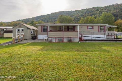 140 BITTNER PARK ROAD Trout Run PA 17771